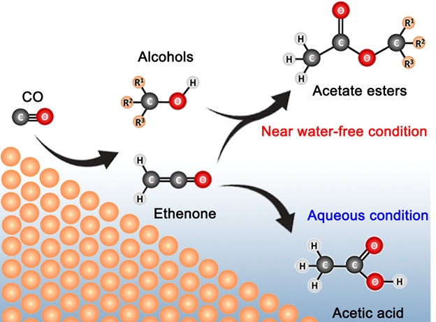 Sustainable electro-synthesis of esters