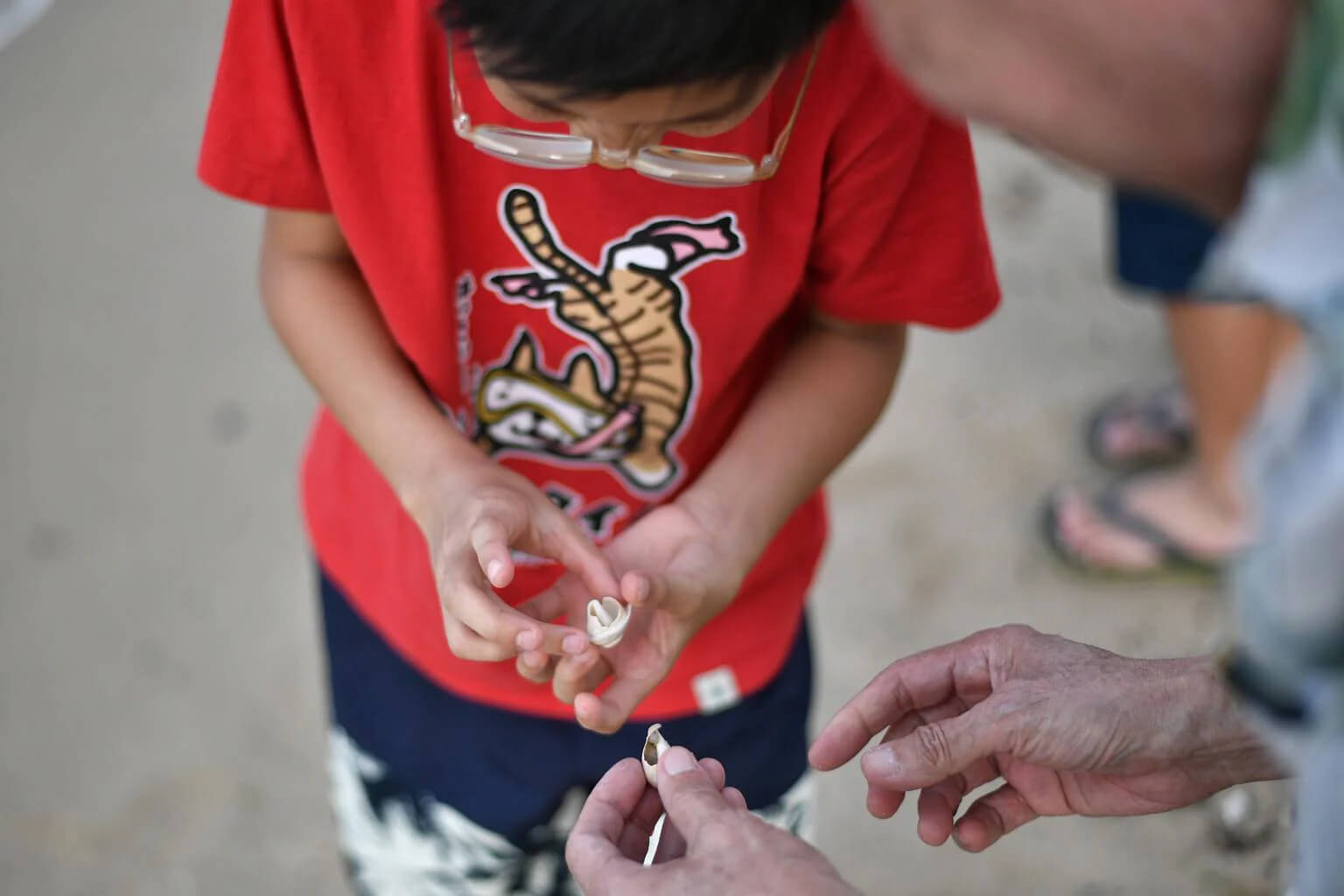 Emeritus Professor Chou Loke Ming (right) showing Julian some shells at Changi Beach on June 7, 2022. ST PHOTO: ARIFFIN JAMAR