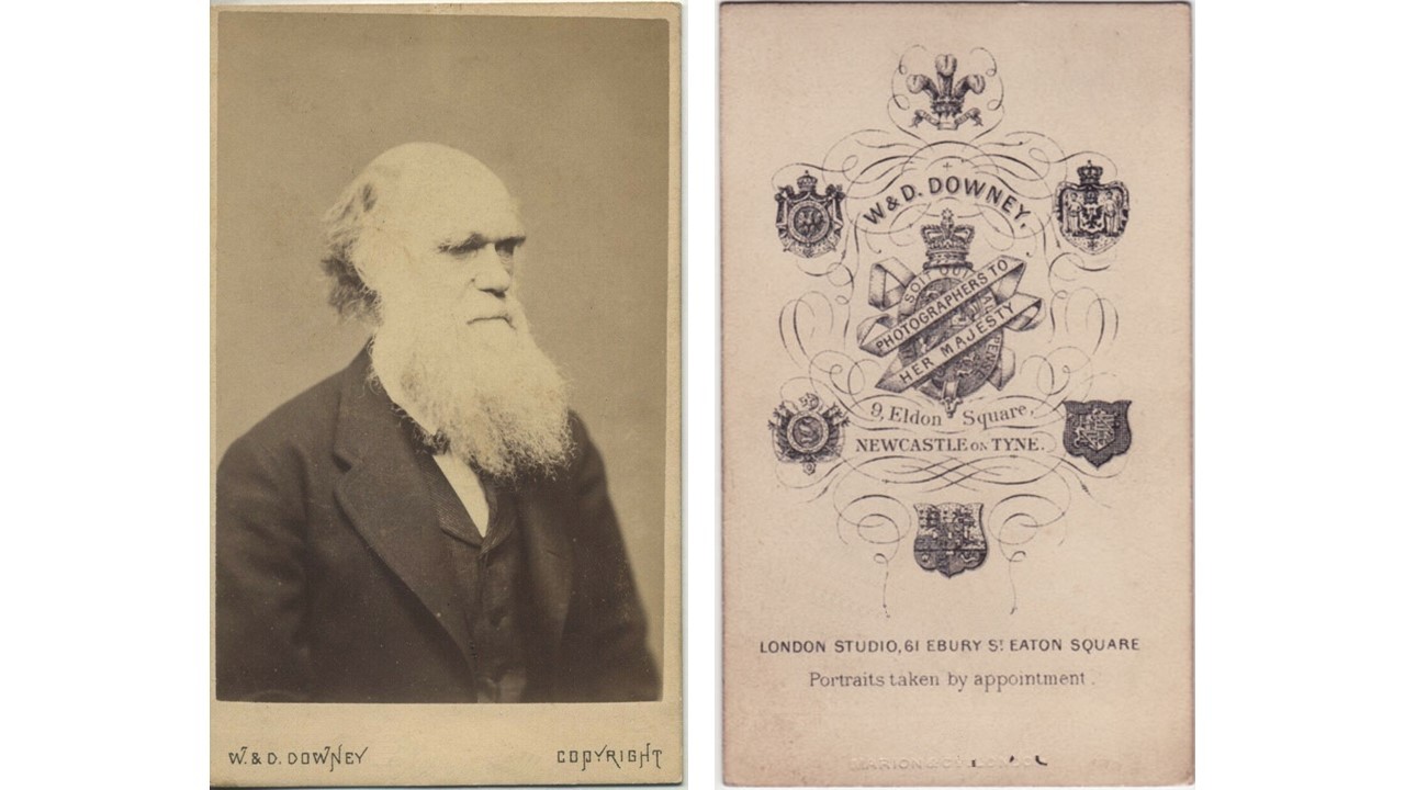 This photo of Darwin is commonly attributed to the photographer, W.D. Downey, mentioned on these cards. However, the photo is actually one of three taken by George Charles Wallich in 1871. Downey had mass produced photographs such as these, and the originals by Wallich have almost never been seen.