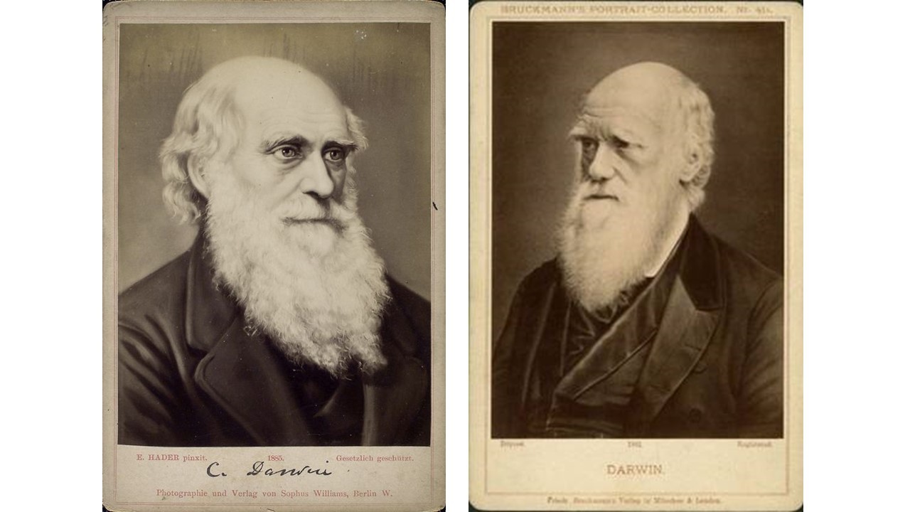 Fake photos were produced of Darwin including (left) a photo of a painting from 1881, and (right) an image based on Darwin’s head from photo in 1878 but with the body and clothes drawn by an artist and sold as pirated copies.