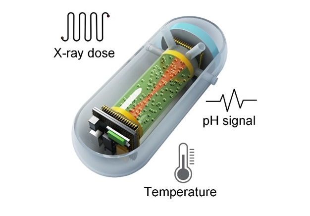 A capsule X-ray dosimeter for real-time radiotherapy monitoring