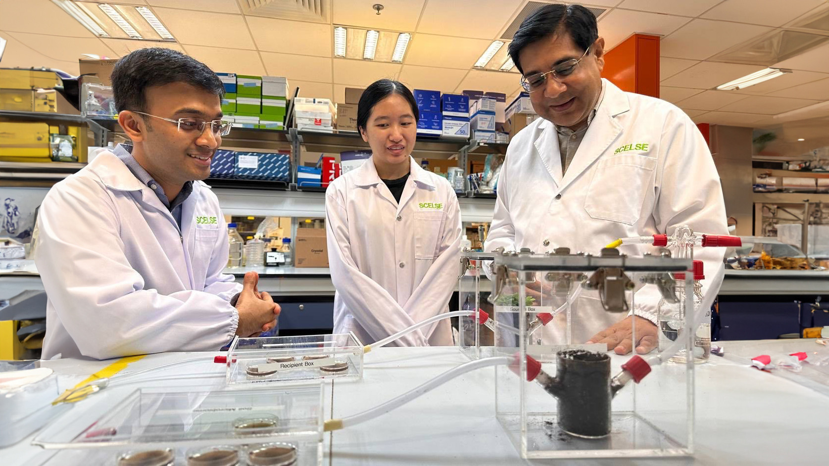 (From left to right) Dr Omkar Kulkarni, currently a research scientist at the L’Oréal – SCELSE joint lab; Samantha Phua, PhD student at NUS and SCELSE; and Assoc Prof Sanjay Swarup, Principal Investigator at the Research Centre on Sustainable Urban Farming (SUrF) under the NUS Faculty of Science and Deputy Research Director at SCELSE. [Photo credit: SCELSE]