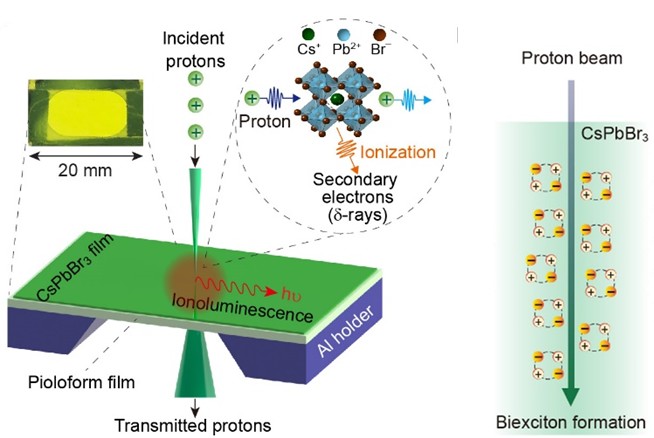 Single proton illuminates perovskite nanocrystals-based transmissive thin scintillators