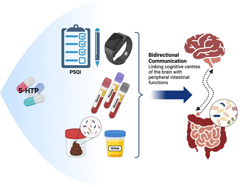 Improving sleep quality by mediating gut health