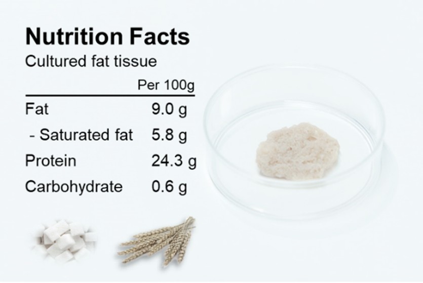 Culturing pork fat tissue on rye protein scaffolds