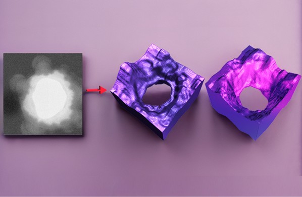 Computational lens unmasks hidden 3D information from a single 2D micrograph