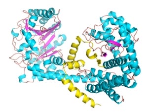 Unique multidomain enzymes from bacteria