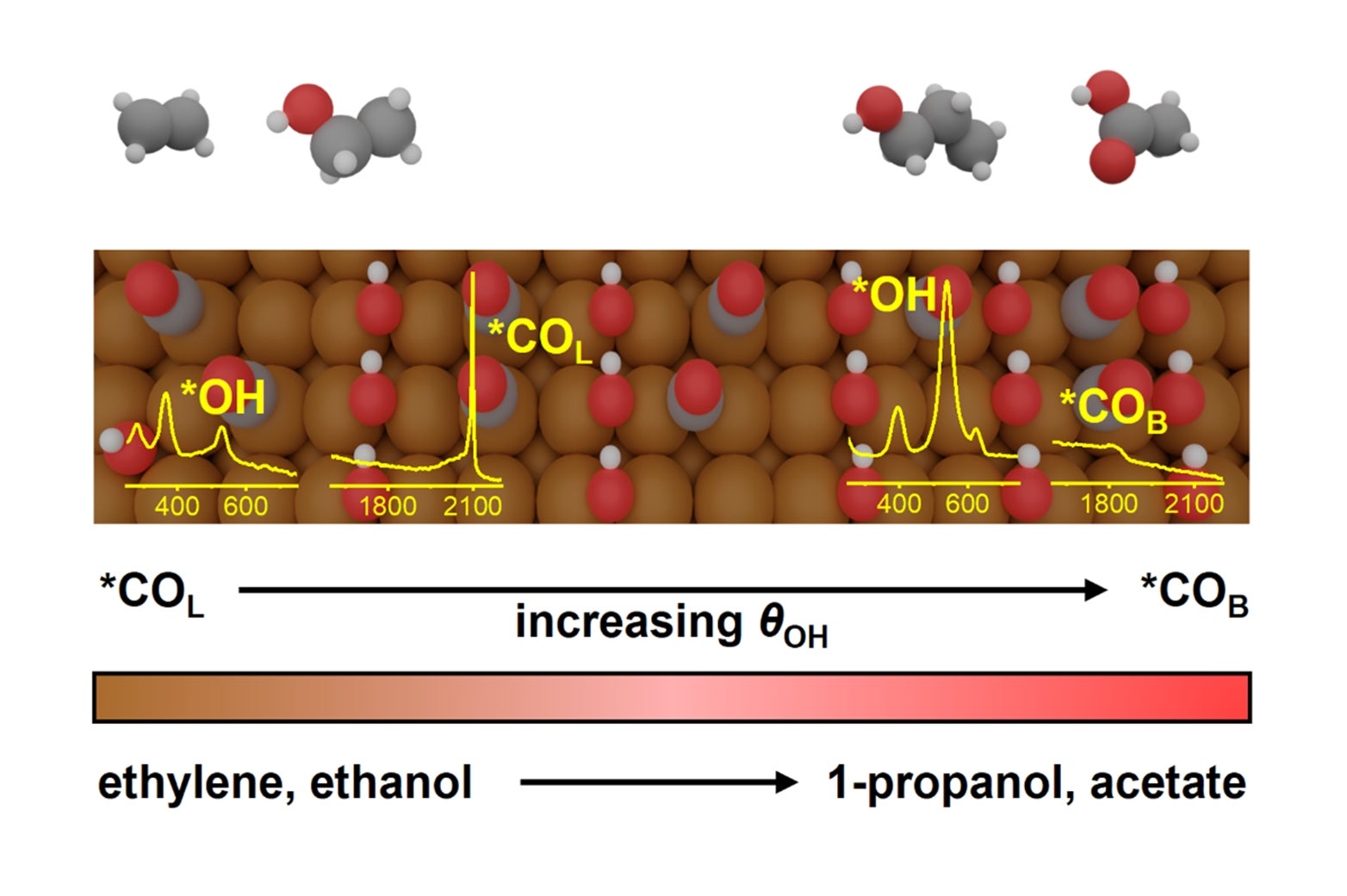 Electro-valorization of carbon dioxide to value-added products