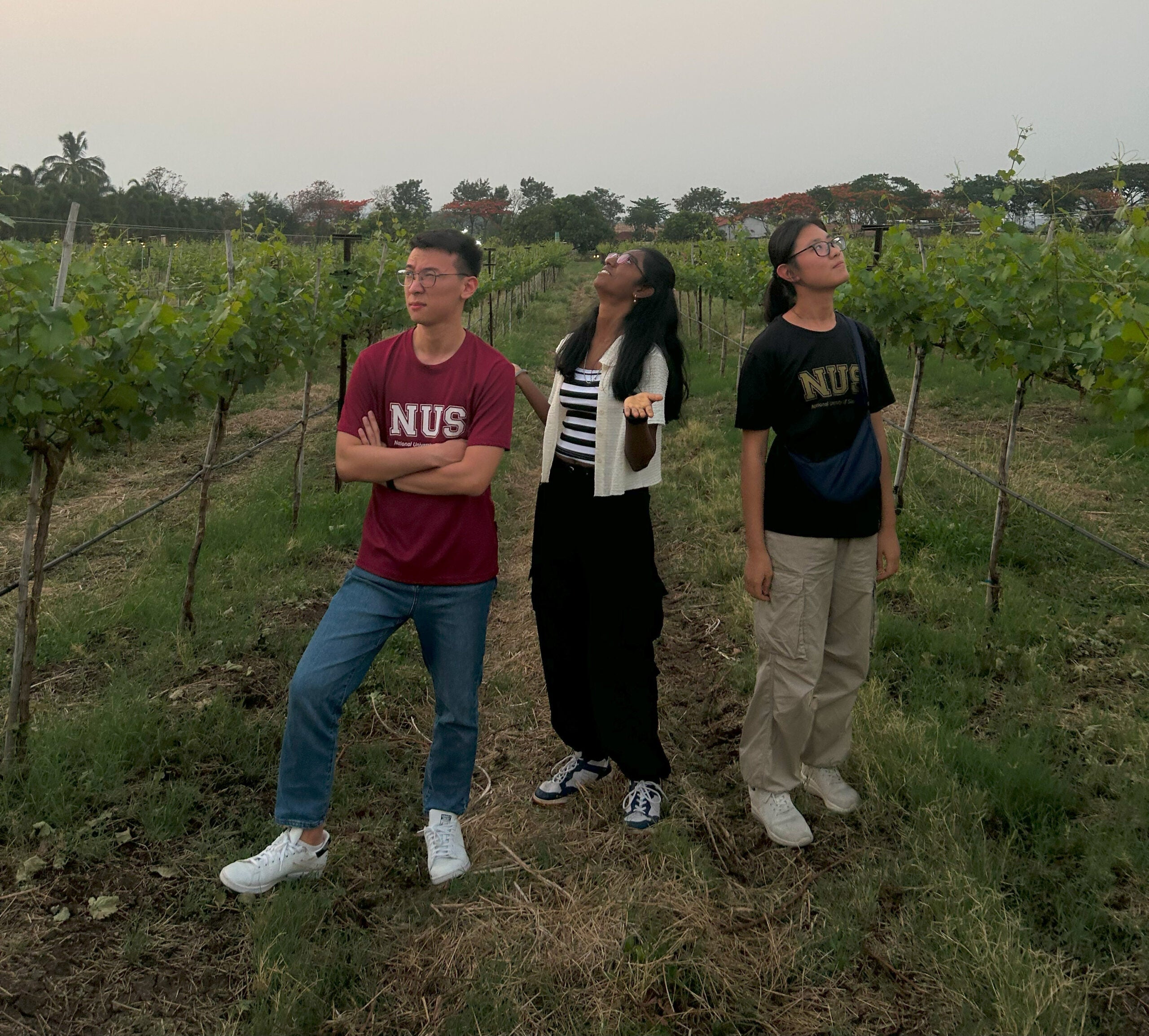 My travel group and I taking a group photo at Sula Vineyards.