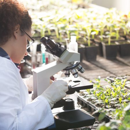Young,Biologist,Looking,At,Microscope,With,Seedlings,Around,Her,In